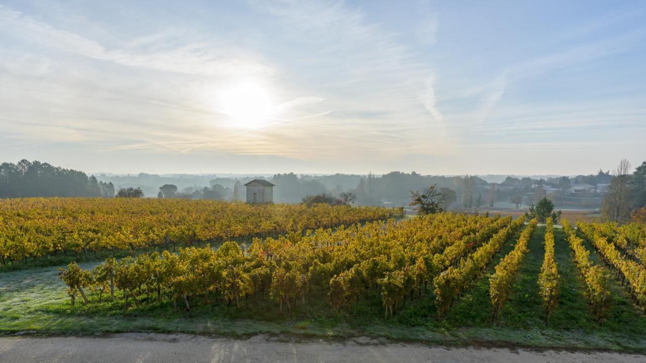 Les Raisins Du Bonheur Bed & Breakfast Puisseguin ภายนอก รูปภาพ